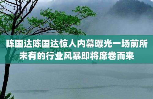 陈国达陈国达惊人内幕曝光一场前所未有的行业风暴即将席卷而来