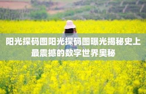阳光探码图阳光探码图曝光揭秘史上最震撼的数字世界奥秘