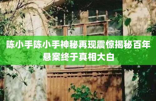 陈小手陈小手神秘再现震惊揭秘百年悬案终于真相大白