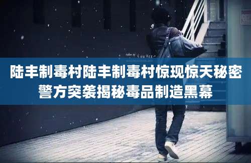 陆丰制毒村陆丰制毒村惊现惊天秘密警方突袭揭秘毒品制造黑幕