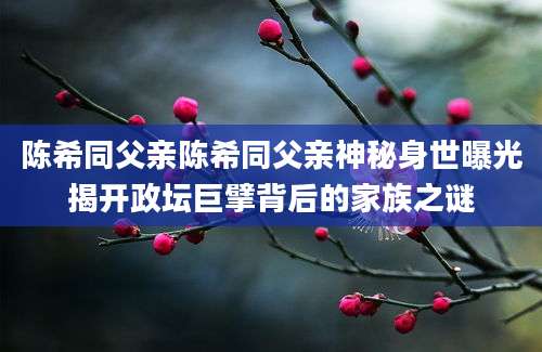 陈希同父亲陈希同父亲神秘身世曝光揭开政坛巨擘背后的家族之谜