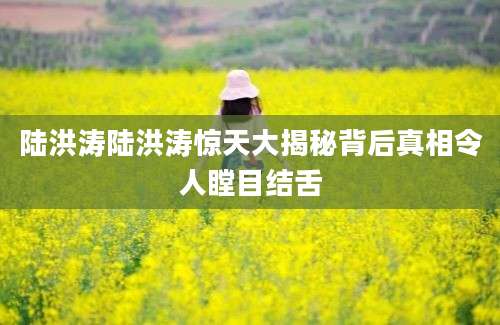 陆洪涛陆洪涛惊天大揭秘背后真相令人瞠目结舌