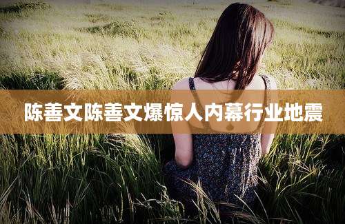 陈善文陈善文爆惊人内幕行业地震