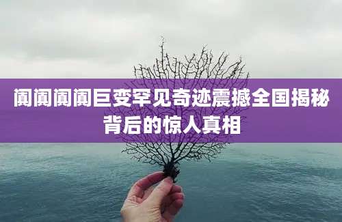 阗阗阗阗巨变罕见奇迹震撼全国揭秘背后的惊人真相