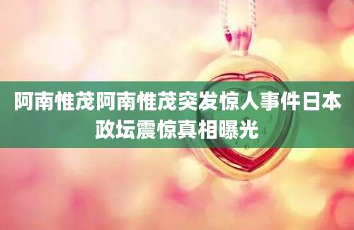 阿南惟茂阿南惟茂突发惊人事件日本政坛震惊真相曝光
