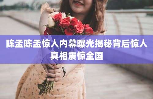 陈孟陈孟惊人内幕曝光揭秘背后惊人真相震惊全国