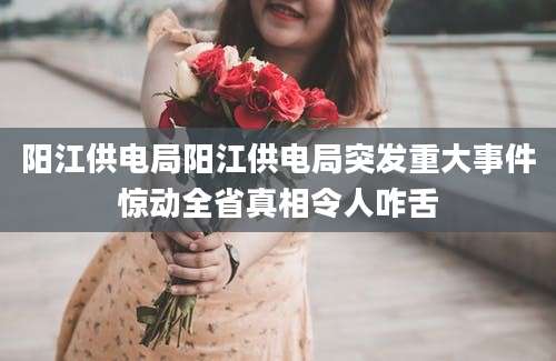 阳江供电局阳江供电局突发重大事件惊动全省真相令人咋舌