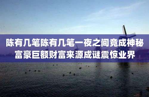 陈有几笔陈有几笔一夜之间竟成神秘富豪巨额财富来源成谜震惊业界