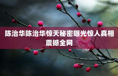 陈治华陈治华惊天秘密曝光惊人真相震撼全网