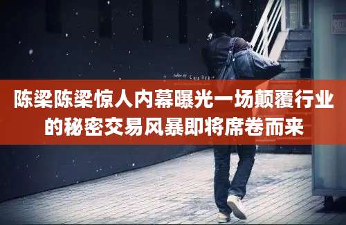 陈梁陈梁惊人内幕曝光一场颠覆行业的秘密交易风暴即将席卷而来