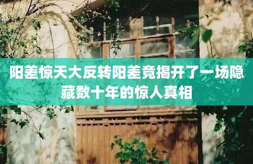 阳差惊天大反转阳差竟揭开了一场隐藏数十年的惊人真相