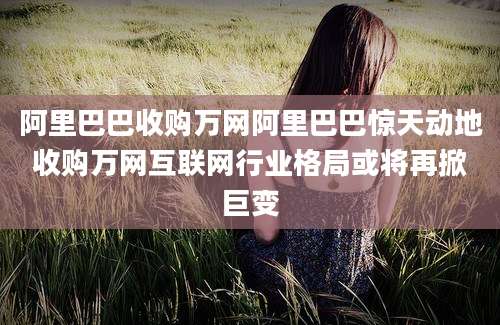 阿里巴巴收购万网阿里巴巴惊天动地收购万网互联网行业格局或将再掀巨变
