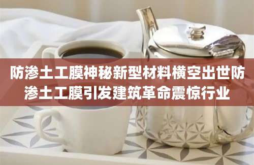 防渗土工膜神秘新型材料横空出世防渗土工膜引发建筑革命震惊行业
