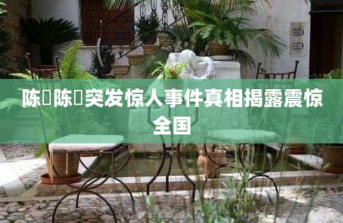陈忞陈忞突发惊人事件真相揭露震惊全国
