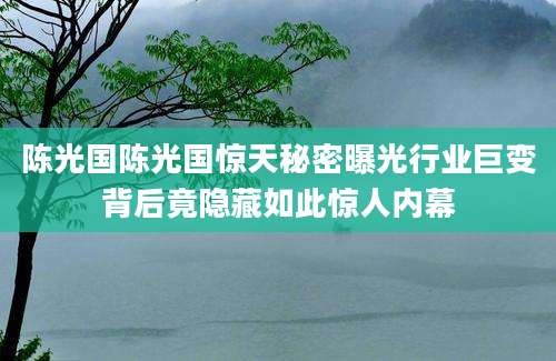 陈光国陈光国惊天秘密曝光行业巨变背后竟隐藏如此惊人内幕