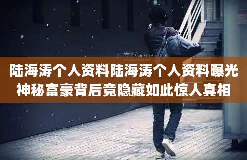 陆海涛个人资料陆海涛个人资料曝光神秘富豪背后竟隐藏如此惊人真相