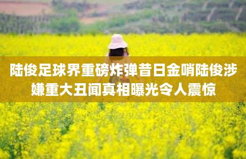 陆俊足球界重磅炸弹昔日金哨陆俊涉嫌重大丑闻真相曝光令人震惊