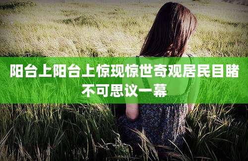 阳台上阳台上惊现惊世奇观居民目睹不可思议一幕