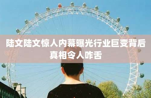 陆文陆文惊人内幕曝光行业巨变背后真相令人咋舌