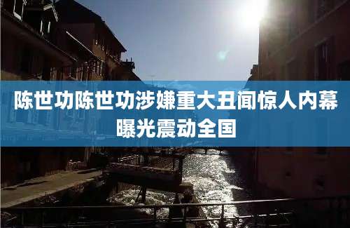 陈世功陈世功涉嫌重大丑闻惊人内幕曝光震动全国