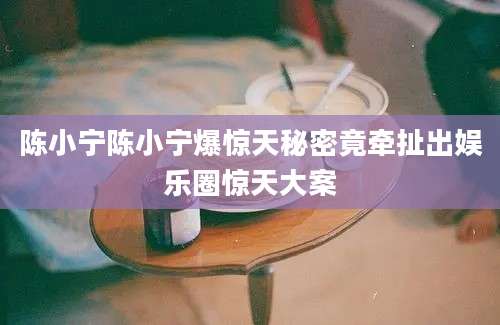 陈小宁陈小宁爆惊天秘密竟牵扯出娱乐圈惊天大案