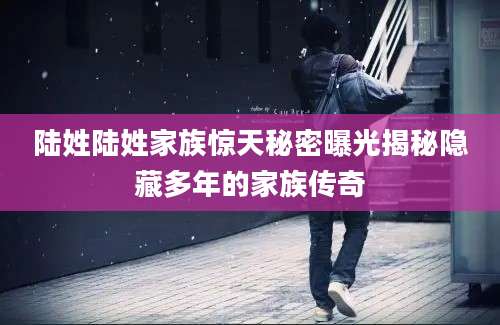 陆姓陆姓家族惊天秘密曝光揭秘隐藏多年的家族传奇