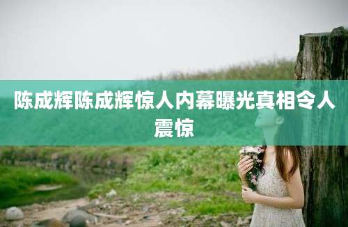 陈成辉陈成辉惊人内幕曝光真相令人震惊