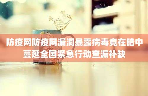 防疫网防疫网漏洞暴露病毒竟在暗中蔓延全国紧急行动查漏补缺