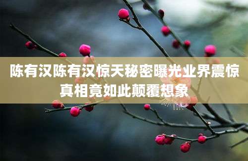 陈有汉陈有汉惊天秘密曝光业界震惊真相竟如此颠覆想象