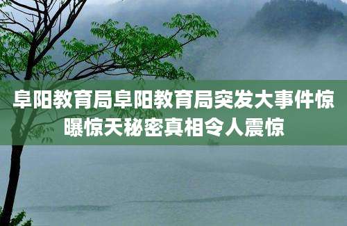 阜阳教育局阜阳教育局突发大事件惊曝惊天秘密真相令人震惊