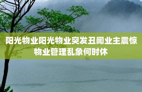 阳光物业阳光物业突发丑闻业主震惊物业管理乱象何时休