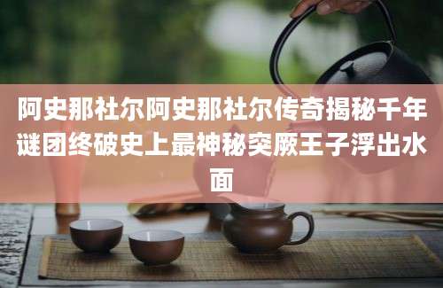 阿史那社尔阿史那社尔传奇揭秘千年谜团终破史上最神秘突厥王子浮出水面