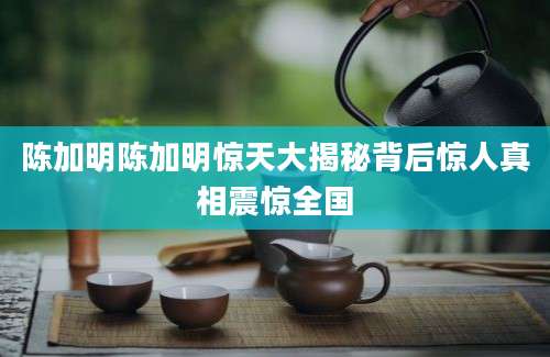 陈加明陈加明惊天大揭秘背后惊人真相震惊全国