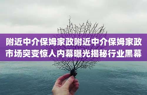 附近中介保姆家政附近中介保姆家政市场突变惊人内幕曝光揭秘行业黑幕