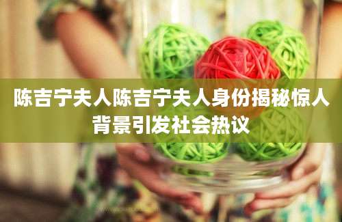 陈吉宁夫人陈吉宁夫人身份揭秘惊人背景引发社会热议