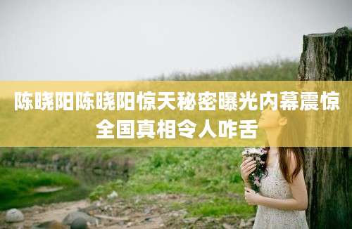 陈晓阳陈晓阳惊天秘密曝光内幕震惊全国真相令人咋舌