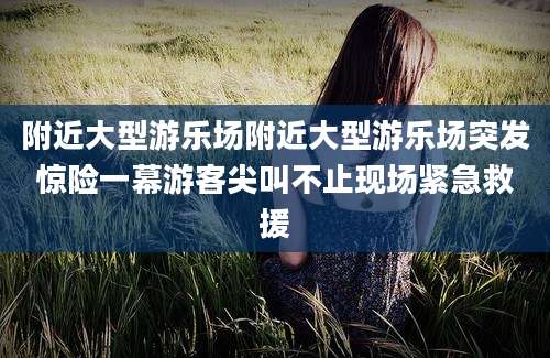 附近大型游乐场附近大型游乐场突发惊险一幕游客尖叫不止现场紧急救援