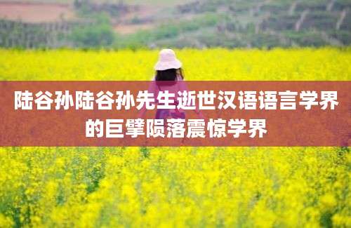 陆谷孙陆谷孙先生逝世汉语语言学界的巨擘陨落震惊学界