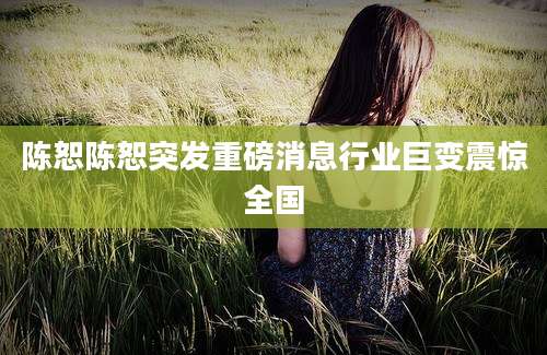 陈恕陈恕突发重磅消息行业巨变震惊全国