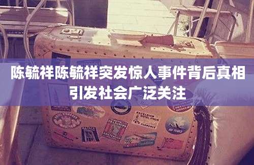陈毓祥陈毓祥突发惊人事件背后真相引发社会广泛关注