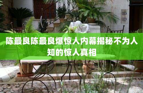陈最良陈最良爆惊人内幕揭秘不为人知的惊人真相
