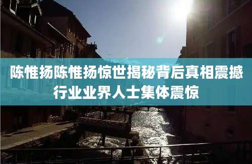 陈惟扬陈惟扬惊世揭秘背后真相震撼行业业界人士集体震惊