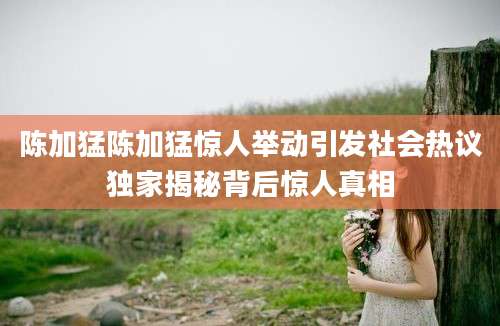陈加猛陈加猛惊人举动引发社会热议独家揭秘背后惊人真相
