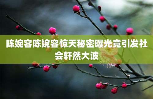 陈婉容陈婉容惊天秘密曝光竟引发社会轩然大波