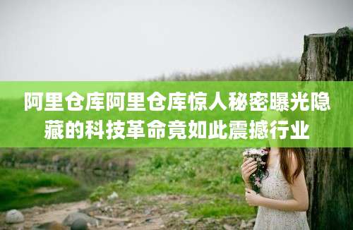 阿里仓库阿里仓库惊人秘密曝光隐藏的科技革命竟如此震撼行业