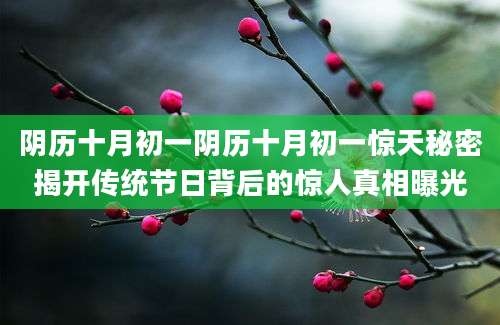 阴历十月初一阴历十月初一惊天秘密揭开传统节日背后的惊人真相曝光