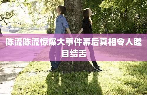 陈流陈流惊爆大事件幕后真相令人瞠目结舌