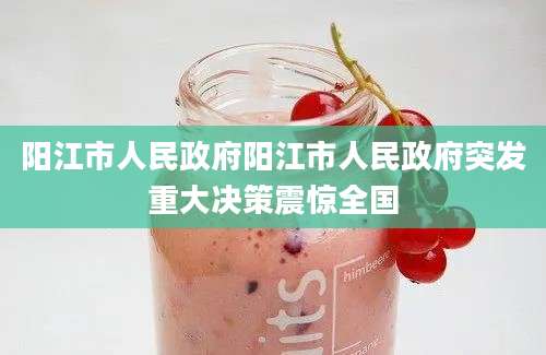 阳江市人民政府阳江市人民政府突发重大决策震惊全国