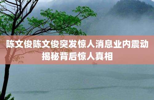 陈文俊陈文俊突发惊人消息业内震动揭秘背后惊人真相