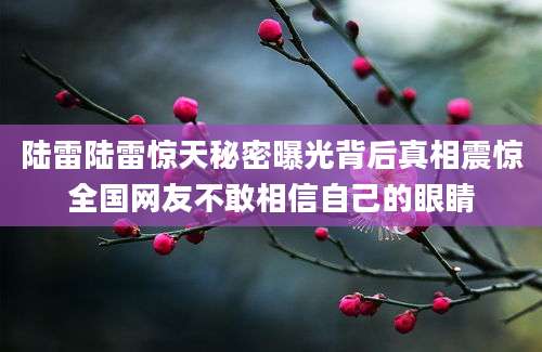 陆雷陆雷惊天秘密曝光背后真相震惊全国网友不敢相信自己的眼睛